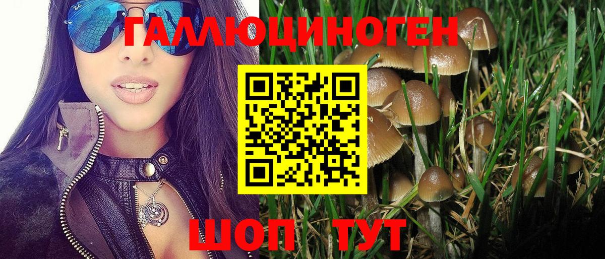 Галлюциногенные грибы Magic Shrooms Строитель