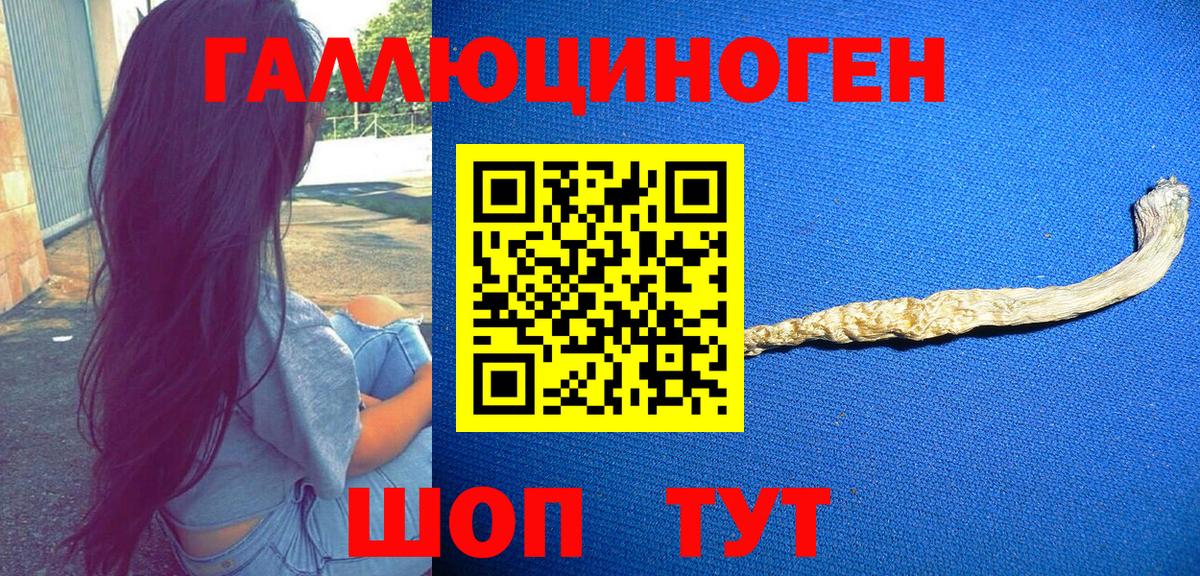 Строитель  Псилоцибиновые грибы Magic Shrooms  Вход с VPN 